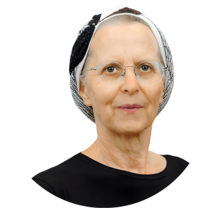 Prof. Sarit Kraus